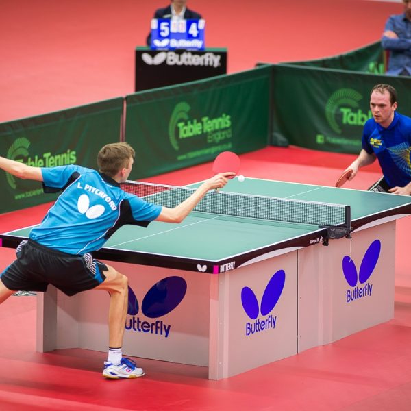 Table Tennis Stars Legends